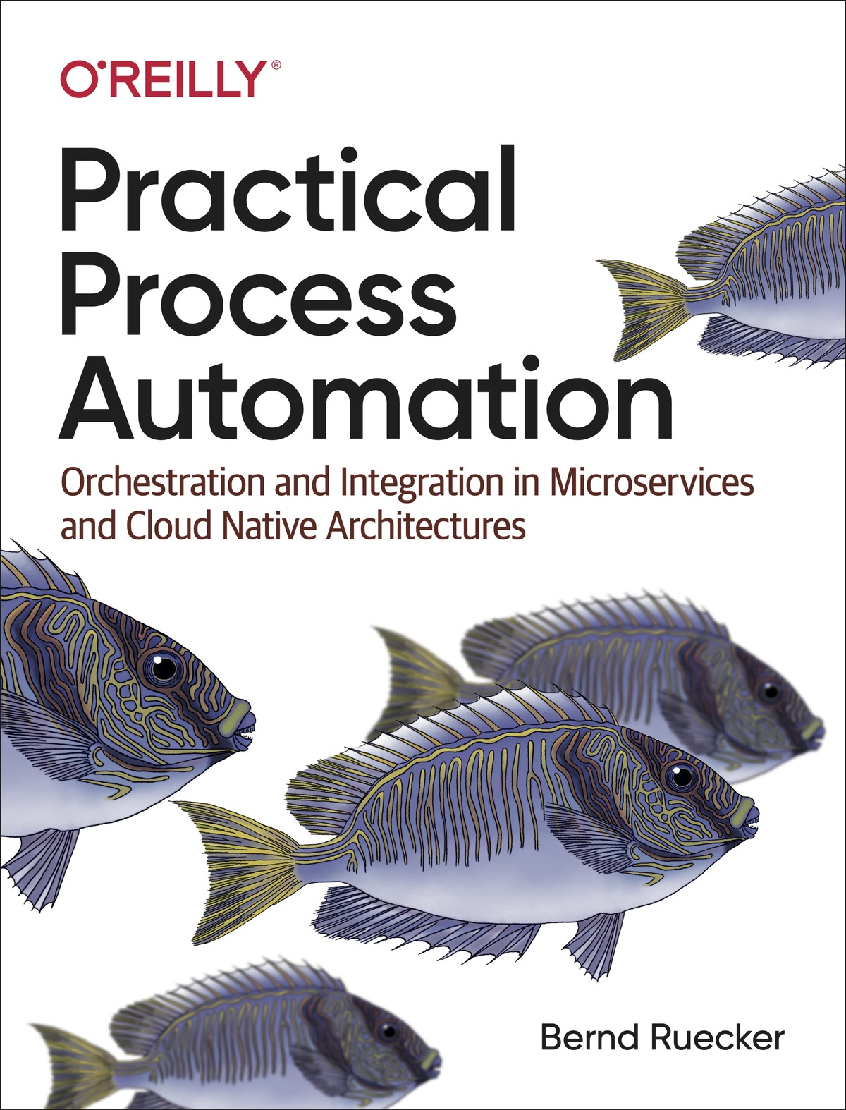 Practical Process Automation