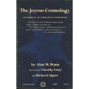 The Joyous Cosmology